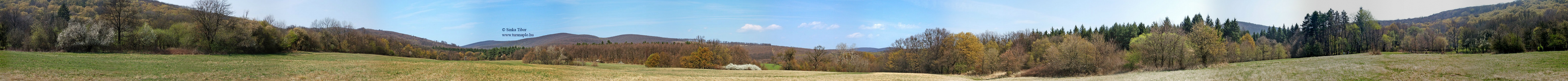 Cs&oacute;v&aacute;nyos